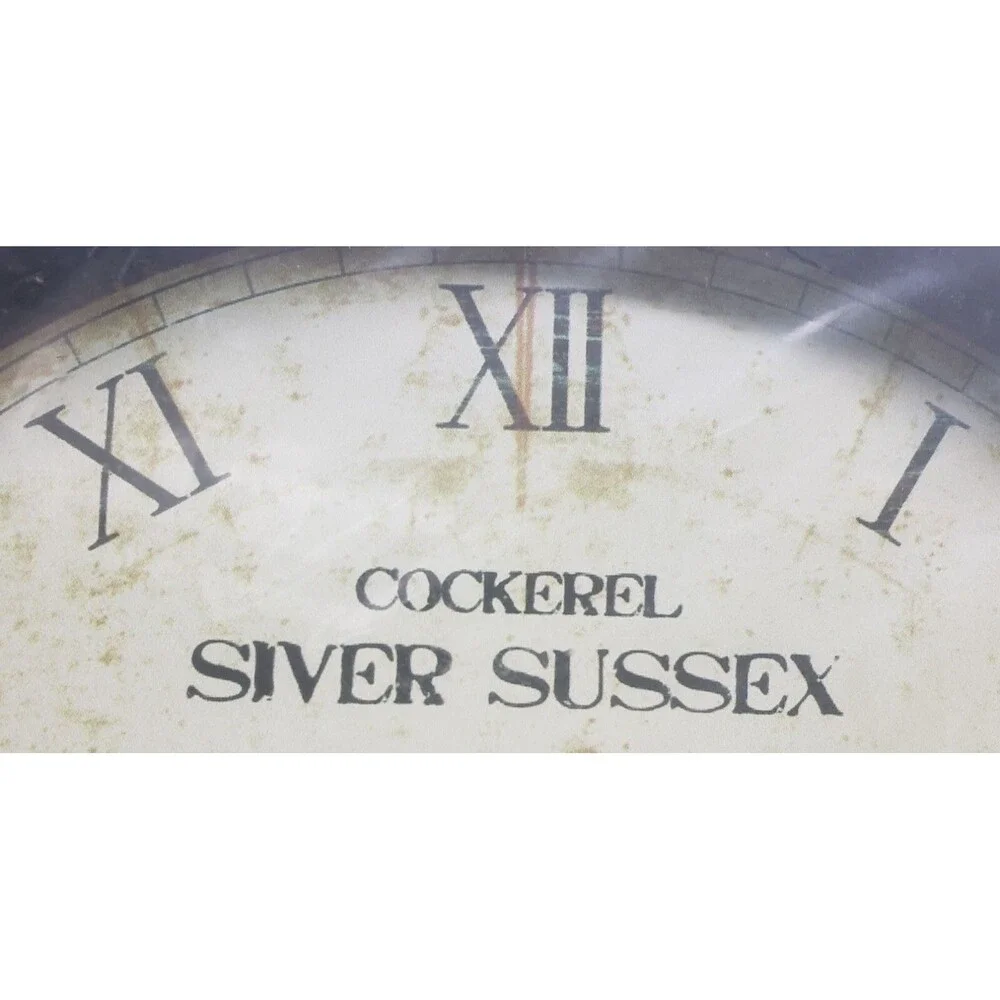 Extra Large Plastic Decorative Wall Clock,app.18